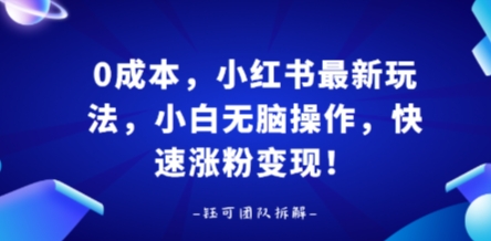 0成本,小红书最新玩法,小白无脑操作,快速涨粉变现-云科数创