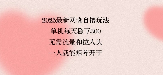 2025最新网盘自撸玩法,单机每天稳下3张,无需流量和拉人头,一个人就可轻松矩阵,全网独一份【揭秘】-云科数创