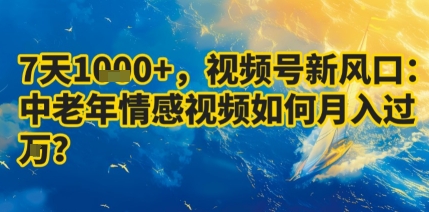7天收益1k+,视频号新风口:中老年情感视频如何月入过W?-云科数创