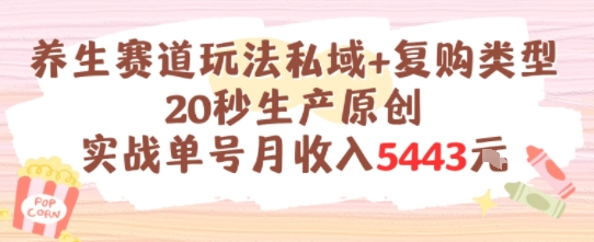 养生赛道玩法私域+复购类型,20秒生产原创实战单号月收入5k+-云科数创