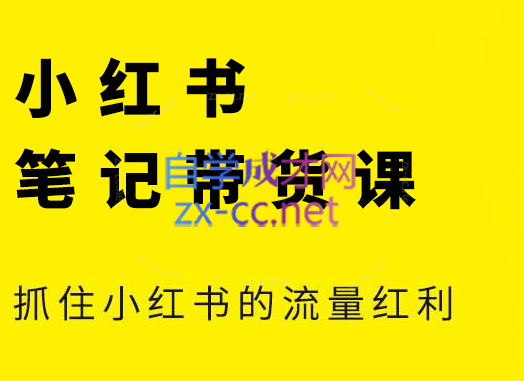 张宾·小红书笔记带货课(更新6月)-云科数创