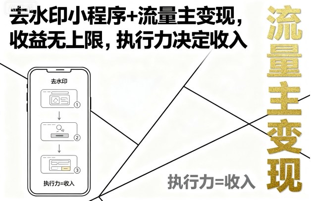 去水印小程序+流量主变现,收益无上限,执行力决定收入-云科数创