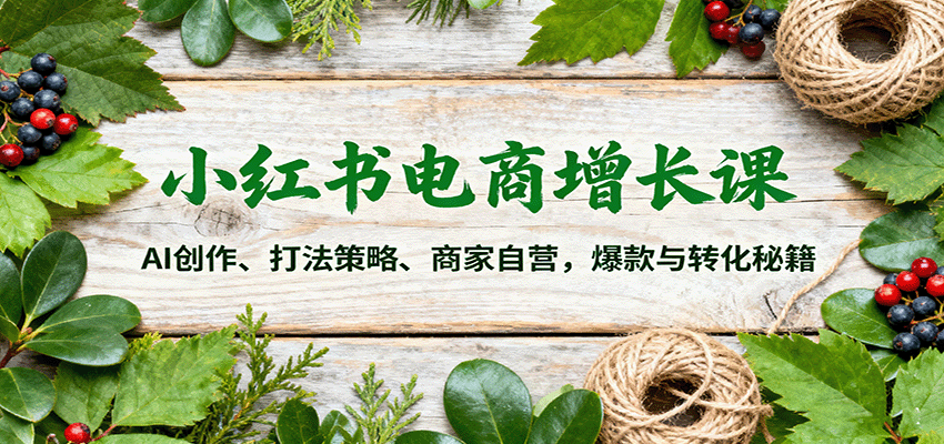 小红书电商增长课:AI创作、打法策略、商家自营,爆款与转化秘籍-云科数创