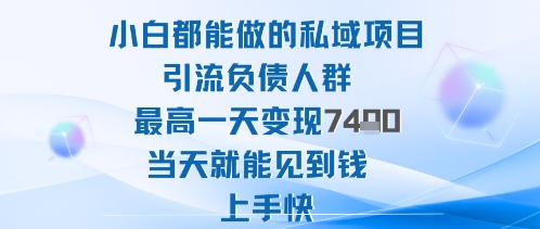 2025年小白都能做的私域项目引流负债人群最高一天变现1k+高变现难度低当天就能见到钱上手快-云科数创