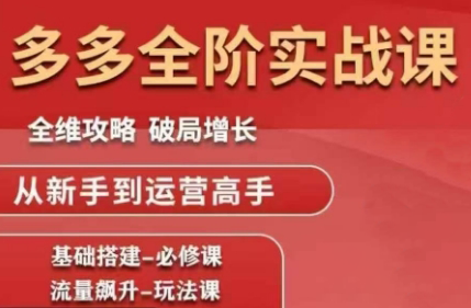 大炮·拼多多全阶实战课程(更新10月)-云科数创