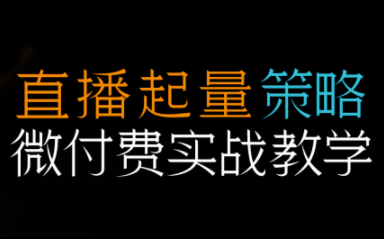 半野老师·直播带货起量与微付费必学课视频号-云科数创