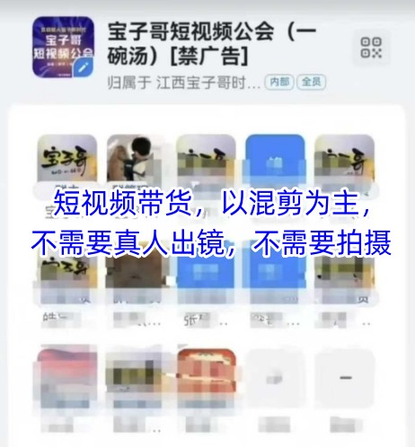 宝子哥头部团队短视频带货，以混剪为主，不需要真人出镜，不需要拍摄【更新12月】-云科数创