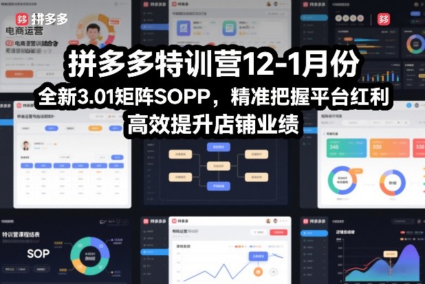 拼多多特训营12-1月份,全新3.01矩阵Sop,精准把握平台红利,高效提升店铺业绩-云科数创