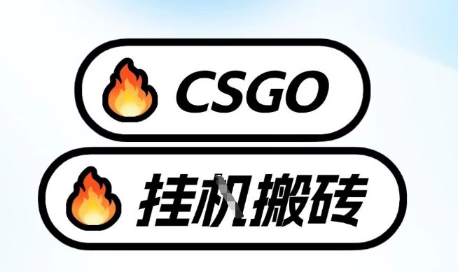 真全网独家CSGO挂G，最新玩法,单日捡漏1K+，不用电脑，不用打游戏【揭秘】-云科数创