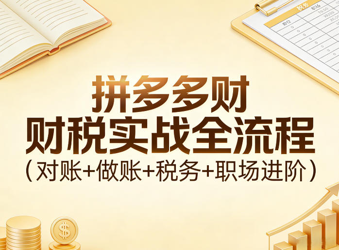 拼多多财税实战全流程(对账+做账+税务+职场进阶)-云科数创