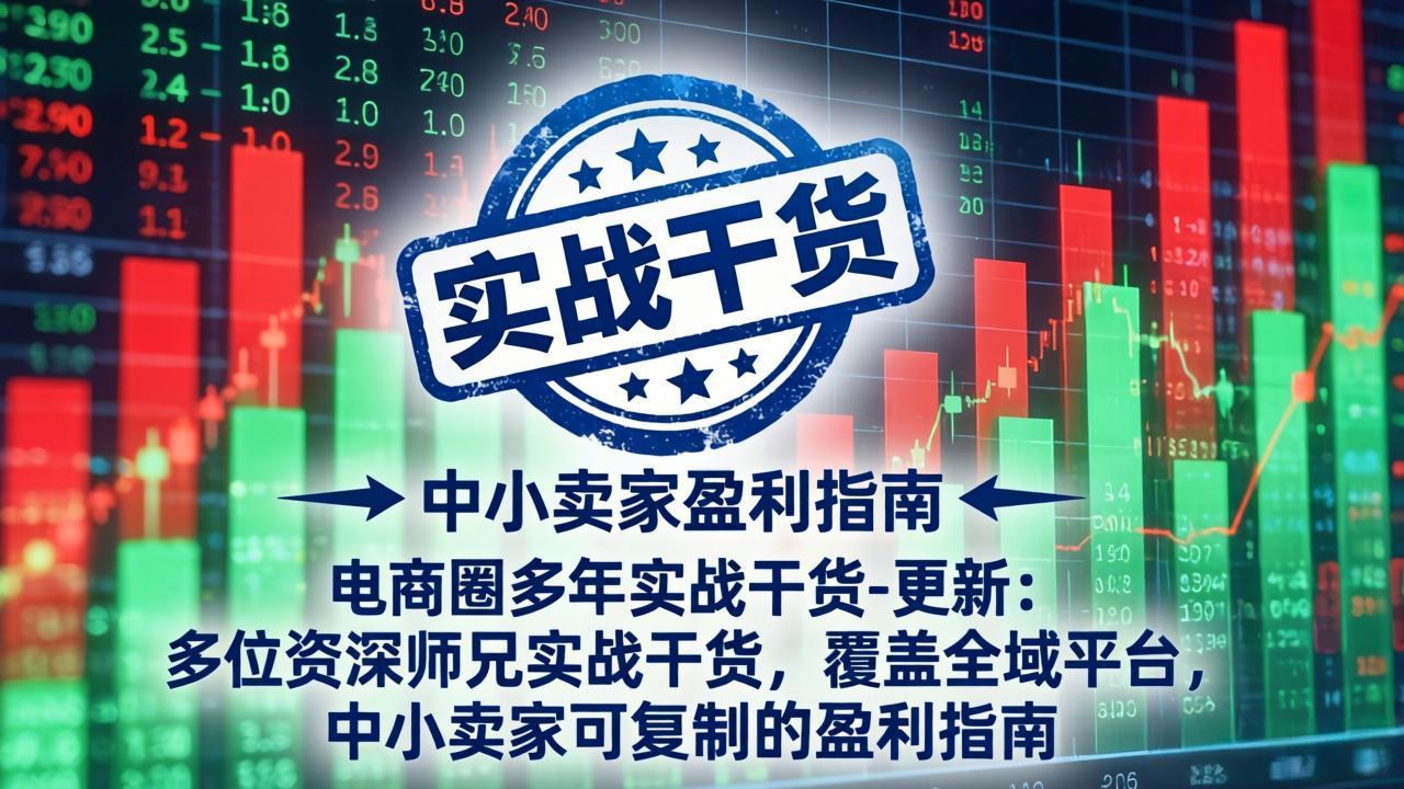 电商圈多年实战干货-更新4月：多位资深师兄实战干货，覆盖全域平台，中小卖家可复制的盈利指南-云科数创