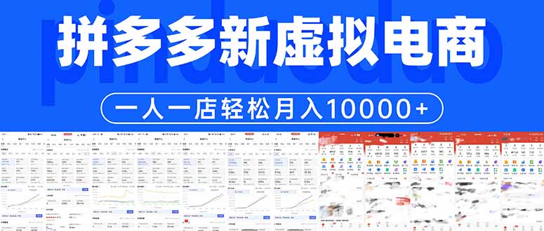 拼多多虚拟电商一人一店轻松月入10000+-云科数创