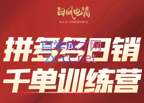 白凤电商·拼多多日销千单训练营(更新4月)-云科数创