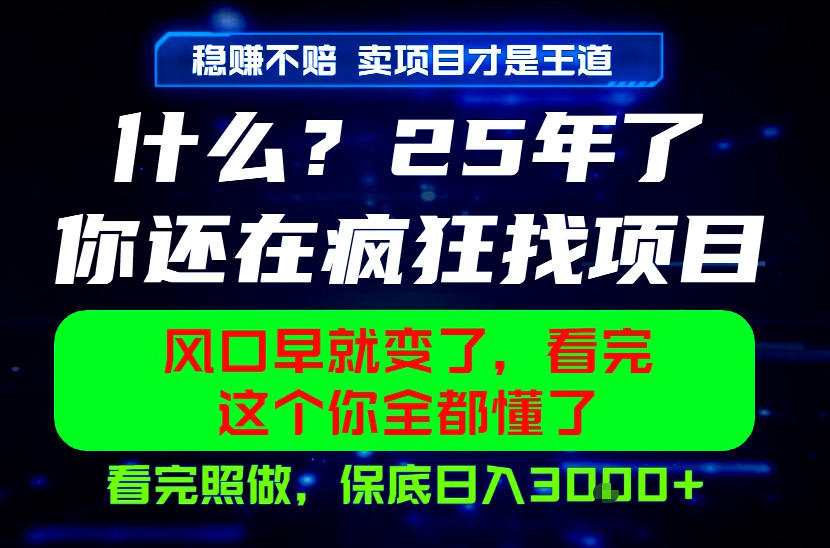 26年，请不要疯狂的找项目做了！卖项目才是真的稳賺不赔，看完照做，保底日入1k+【揭秘】-云科数创