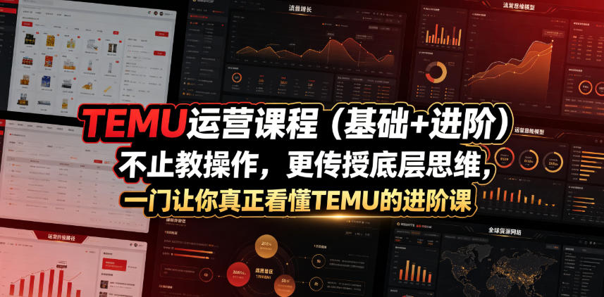 TEMU运营课程(基础+进阶)，不止教操作，更传授底层思维，一门让你真正看懂TEMU的进阶课-云科数创