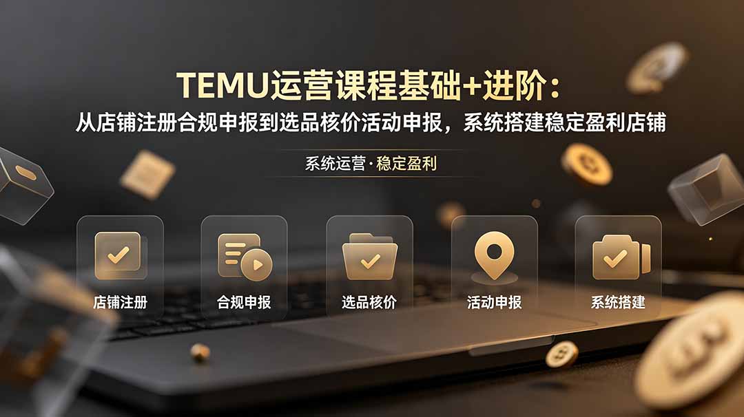 TEMU运营课程(基础+进阶-云科数创