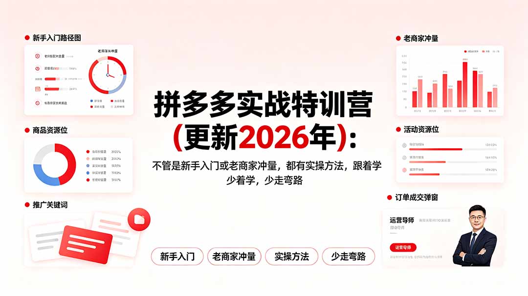 拼多多实战特训营(更新2026年-云科数创