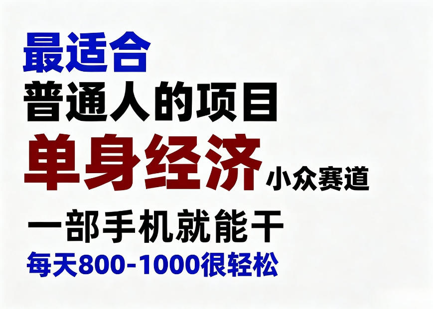 身经济小众赛道,一部手机就能干,每天搞个800-1000很轻松,最适合普通人的项目【揭秘】-云科数创