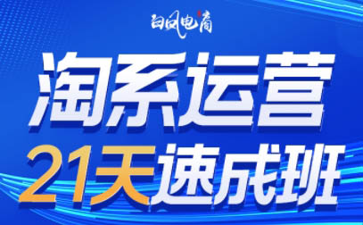 白凤电商·淘系运营21天速成班(更新9月)-云科数创