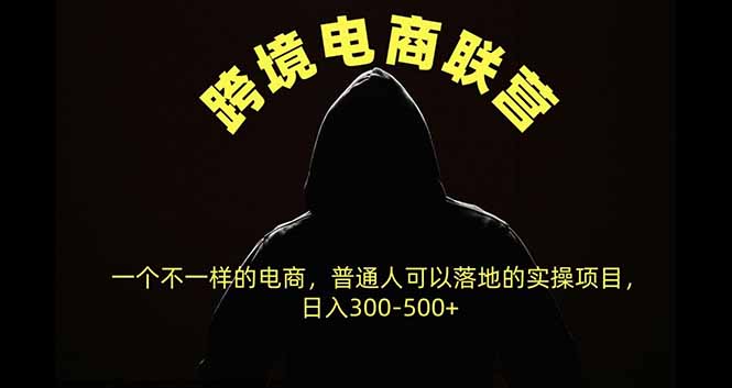 跨境电商联营，一个不一样的电商，普通人可操作日入300-500+-云科数创