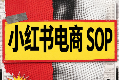 书豪必胜小红书电商sop(更新9月)-云科数创