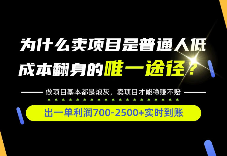 普通人如何靠互联网賺取自己的第一桶金!全类目实操型教学,看完你全都懂了!【揭秘】